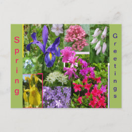 June Blume Kollage. Postkarte