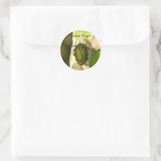 June Bug Stickers (Tasche)