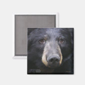 June durch Nancy Liu Magnet (Vorderseite/Rückseite)