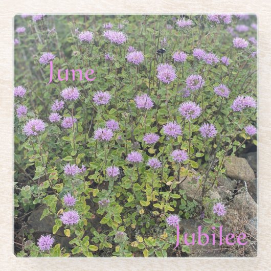 June Jubilee Glass Untersetzer (Vorderseite)