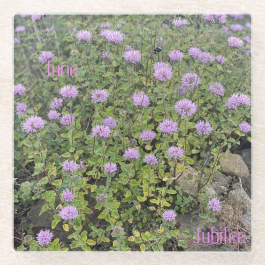 June Jubilee Glass Untersetzer (Vorderseite)