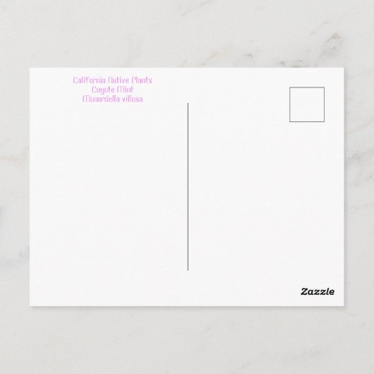 June Jubilee Postkarte (Rückseite)