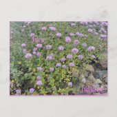 June Jubilee Postkarte (Vorderseite)