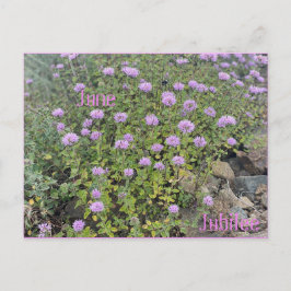 June Jubilee Postkarte
