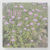 June Mint Steinuntersetzer (Vorderseite)