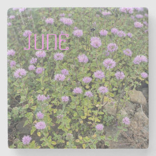 June Mint Steinuntersetzer