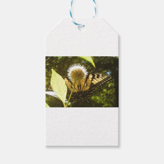 June Monarch Blume Geschenkanhänger (Vorderseite)