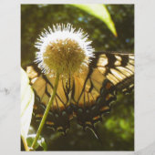 June Monarch Flyer (Vorne)