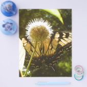 June Monarch Flyer (Einzeln)