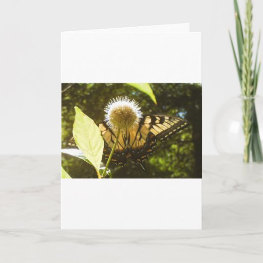 June Monarch Grußkarte Karte (Vorderseite)