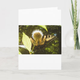 June Monarch Grußkarte Karte