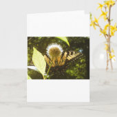 June Monarch Grußkarte Karte (Gelbe Blume)