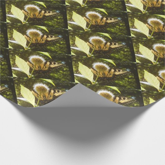 June Monarch Wrapping Geschenkpapier (Ecke)