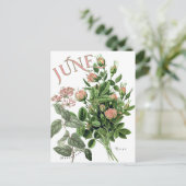 June Month Blume Honeysuckle Rose Extravagant Postkarte (Stehend Vorderseite)