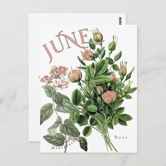 June Month Blume Honeysuckle Rose Extravagant Postkarte (Vorne/Hinten)