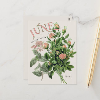 June Month Flowers Honeysuckle Rose Beige Postkarte