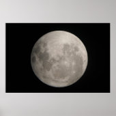 June Moon Poster (Vorne)