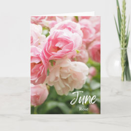 June Pink Rose Birth Monat Blume Geburtstag Karte