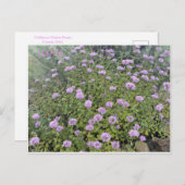 JUNE POSTCARD POSTKARTE (Vorne/Hinten)