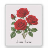 June-Rosen-Blumen-Aufkleber Aufkleber (Vorderseite)