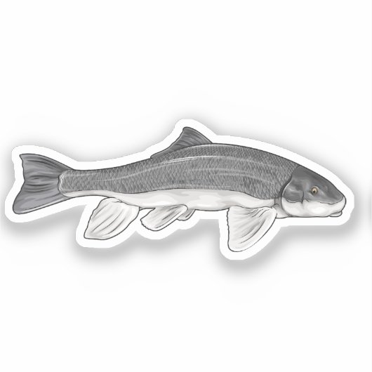 June Sucker Fish Vector Illustration Aufkleber (Vorderseite)