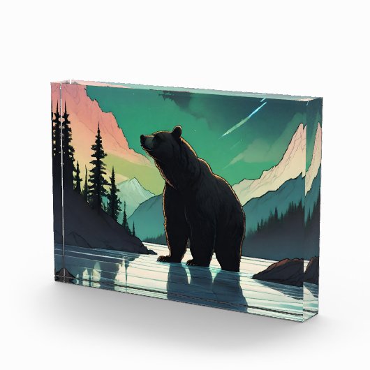 Juneau Alaska Grizzlybär aurora Nordlichter Fotoblock (Rechts)