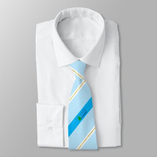 Juneau (Alaska) Stadtflagge Neck Tie Krawatte (Gebunden)