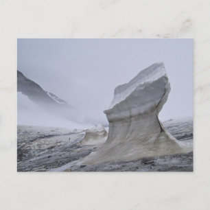 Juneau Icefield Postcard Postkarte