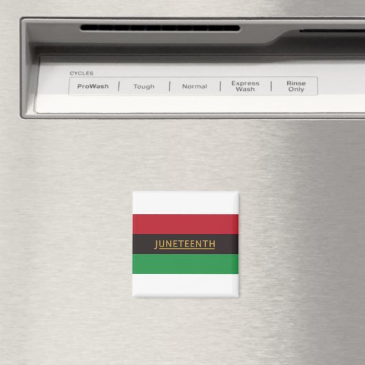 Junetzehnte Magnet (In Situ (Geschirrspüler))