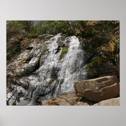 Juney Whank Falls in den Smoky Mountains Poster (Vorne)
