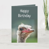 Jung war einmal dabei, den urteilsfähigen Strauß z Karte (Vorderseite)