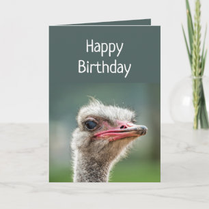 Jung war einmal dabei, den urteilsfähigen Strauß z Karte