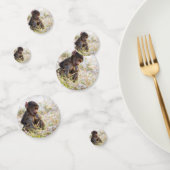 Jungbabone Konfetti (Gruppe)