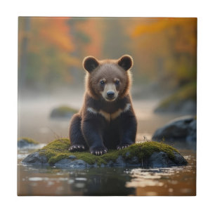 Jungbär im Herbst Fliese