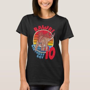 Junge 10. Geburtstag I Rawr Stegosaurus I Familien T-Shirt