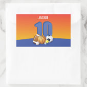 Junge 10. Geburtstag Sportbälle Rechteckiger Aufkleber (Tasche)