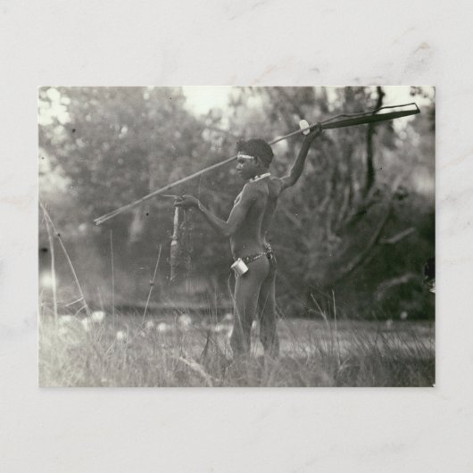 Junge Aborigine-Jäger mit Speer und Woomera Postkarte (Vorderseite)