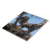 Junge Adler flatternde Flügel Spiegelund Tile Fliese (Seite)