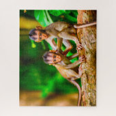 Junge Affen. Puzzle (Vertikal)