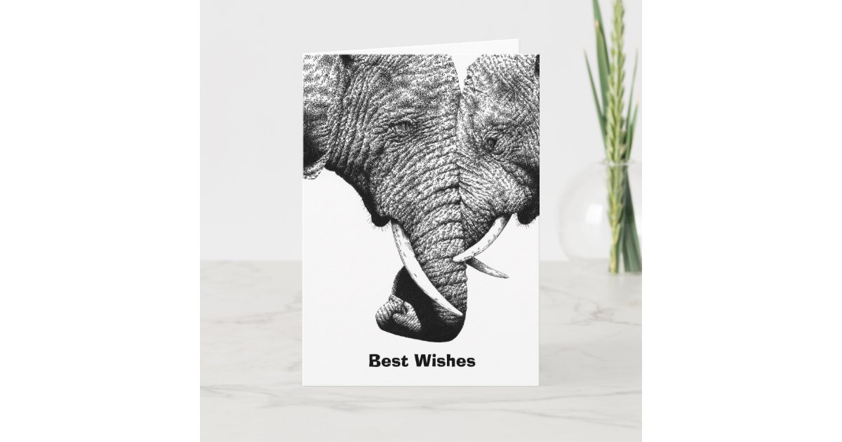 Junge afrikanische ElefantGeburtstagsKarte Karte Zazzle.de