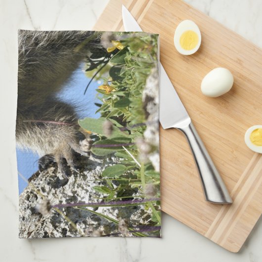 Junge Almmotte Handtuch (Viertel Falte)