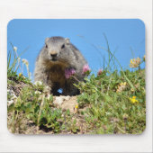 Junge Almmotte Mousepad (Vorne)