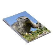 Junge Almmotte Notizblock (Rechte Seite)