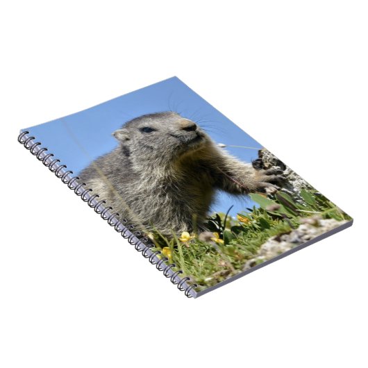 Junge Almmotte Notizblock (Rechte Seite)