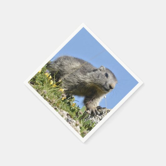 Junge Almmotte Serviette (Ecke)