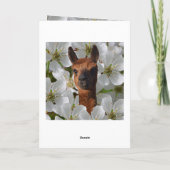 Junge Alpaca in weißen Blüten, Karte (Rückseite)