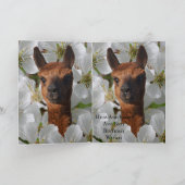 Junge Alpaca in weißen Blüten, Karte (Innenseite)