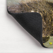 Junge Baby-Ente Mousepad (Ecke)