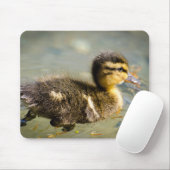 Junge Baby-Ente Mousepad (Mit Mouse)