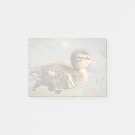 Junge Baby-Ente Post-it Klebezettel (Vorderseite)